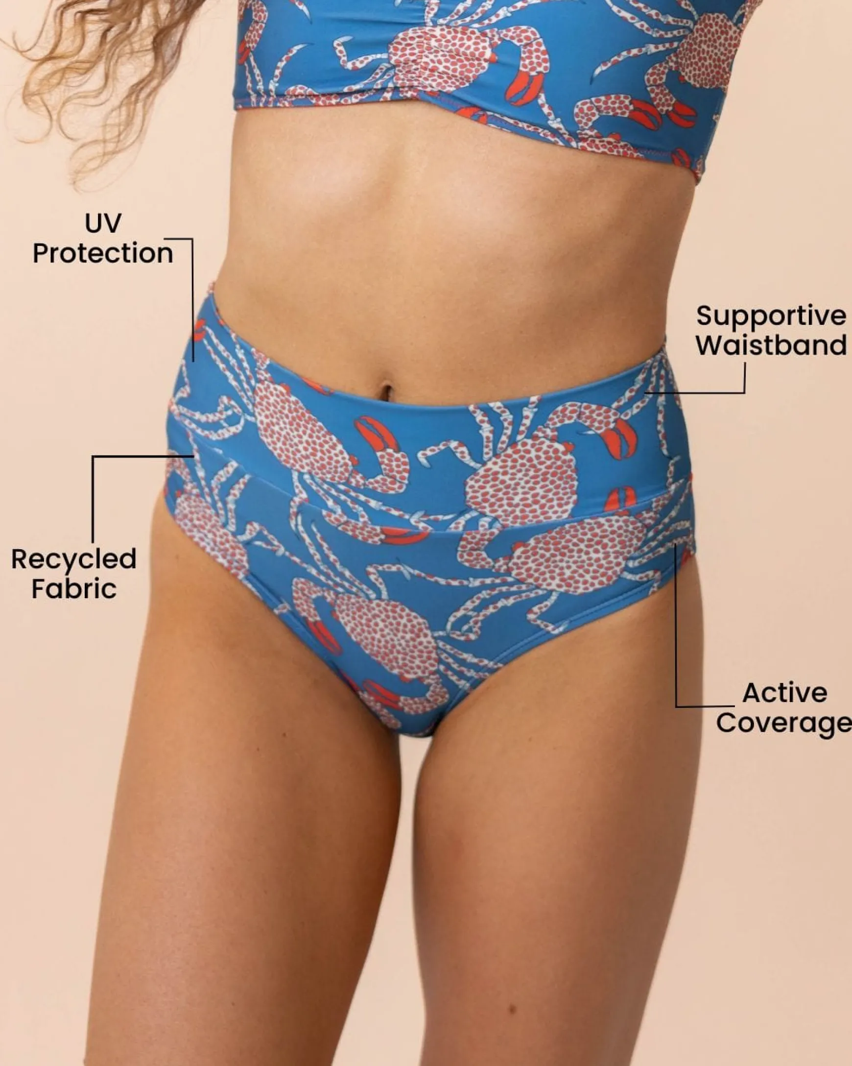 Chesapeake Bay Marine Bottom