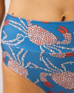 Chesapeake Bay Marine Bottom