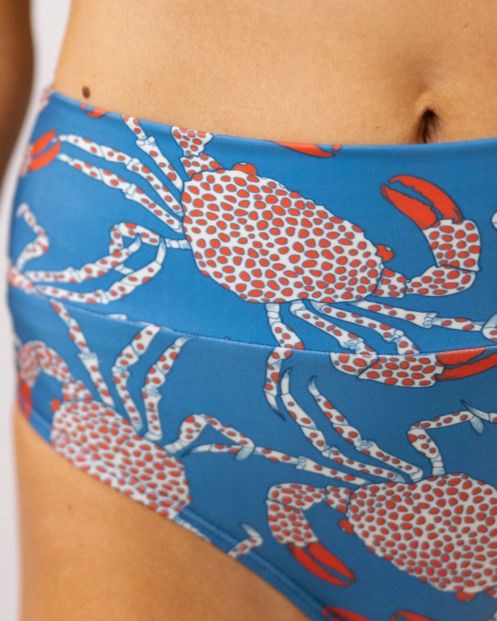 Chesapeake Bay Marine Bottom