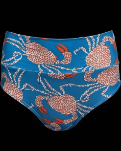 Chesapeake Bay Marine Bottom