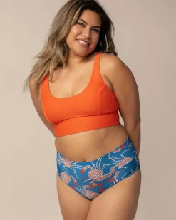 Chesapeake Bay Marine Bottom