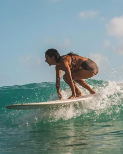 Mocha Floral Switch V Crop