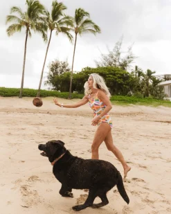 Rockpoint Harbor One Piece