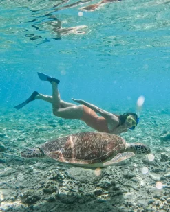 Textured Cora Sandbar One Piece