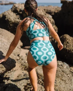 Trellis Marine Bottom